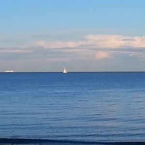 Meet your Posher, Ava